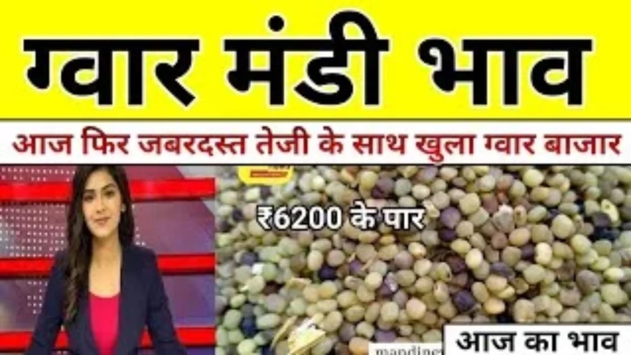 Guar Mandi Bhav Today